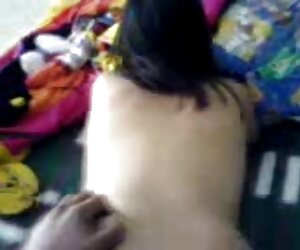Entrenamiento de videos porbo en español bimbo